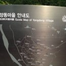 양동매점