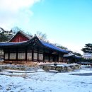 종로-종로-종로-종-225 | 서울 종로 가볼만한 곳. 창덕궁과 창경궁 l 서울 고궁 투어 2023