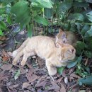 물빛인쇄소 이미지