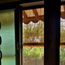 제월스테이 이미지