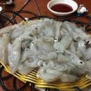 영아네