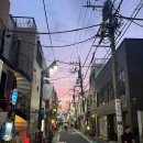 일본 거주자 응가싸면서 질문 받읍니다 이미지