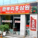 큰뿌리인삼사