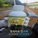 와이앤예스환경관리 | 아빠의 고추농사 도우미, 형제비료 칼스비 직접 써본 후기!