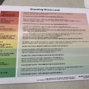 미용하는 훈련사 | 퍼슨 용인 죽전점에서 비숑 애견미용한 후기