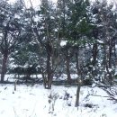 정읍농장 이미지