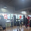 에스복싱클럽 이미지