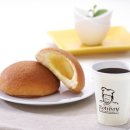 로티보이 이미지