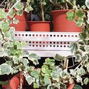 개나리세탁소 이미지