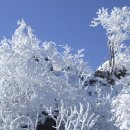 산내들산악회 제88차 정기산행(2018년 1월 14일) - 계방산 눈꽃산행 이미지