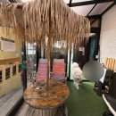 또똣쉼팡제주
