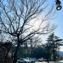 칠곡 송림사 석조아미타여래삼존좌상 | [사찰 여행] 경북 가볼 만한 곳 칠곡 송림사