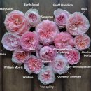 대림가든 이미지