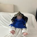 정윤과일