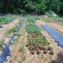 향수농장 이미지