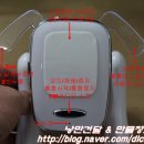 낭만 Dog 이미지