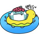 스위밍차일드풍암점 이미지