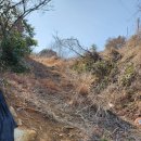 금산면사무소 이미지