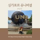 세 돌 아기랑 싱가포르 유니버셜후기 눈치게임 성공