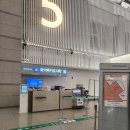 솔다이버스 | [말라파스쿠아#0] 출발 / 세부퍼시픽 항공 / 말라파스쿠아 섬 이동 / 솔다이버스 (한인샵)