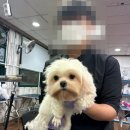 에이치에스평생교육원