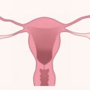 전산부인과의원 이미지