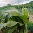 태농농장 이미지