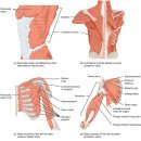 미녀와 야수GYM 이미지