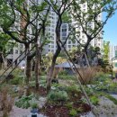 힐스테이트 연산 1, 2단지 이미지