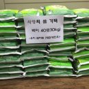 우미마트 이미지