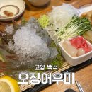 백석로72번길 | [고양/백석] 오징어우미 | 일산 생새우 맛집 찾는다면 무조건 여기