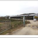 최성용농장 이미지