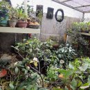 영카인테리어 이미지