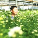 구광회농장 2 이미지