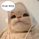 고깃소리 이미지