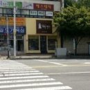 개 키우는 언니 이미지