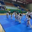 현 태권도장 이미지