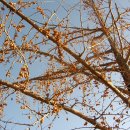 동면농장 이미지