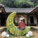 용인시 관광안내소(한국민속촌) | 한국민속촌 한복대여 입장료 할인 놀이기구 퍼레이드 용인놀거리