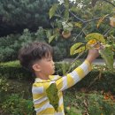 정토원광어린이집 이미지