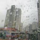 진명빌딩 앞 이미지