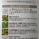 (주)릴렉스코리아 이미지