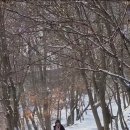모 정(母 情) 이미지