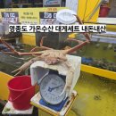 (주)가온아이비 | 영종도 가온수산 대게세트 내돈내산 솔직후기 영종도놀거리