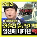 한문철의 블랙박스 리뷰 하이라이트 이게 무슨이야? 한블리 패널들도 익숙한 곳 자유로 활주하는 말 세 마리 영상 이미지