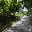 엘솔기타