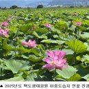 낙동강관리본부 화명생태공원 13 이미지