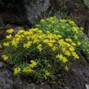 기린초등학교 이미지