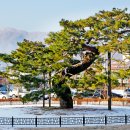 장수군청 이미지