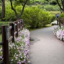 도심 속 자연 결혼식🌿 용산가족공원 야외예식장 그린웨딩 하객 후기